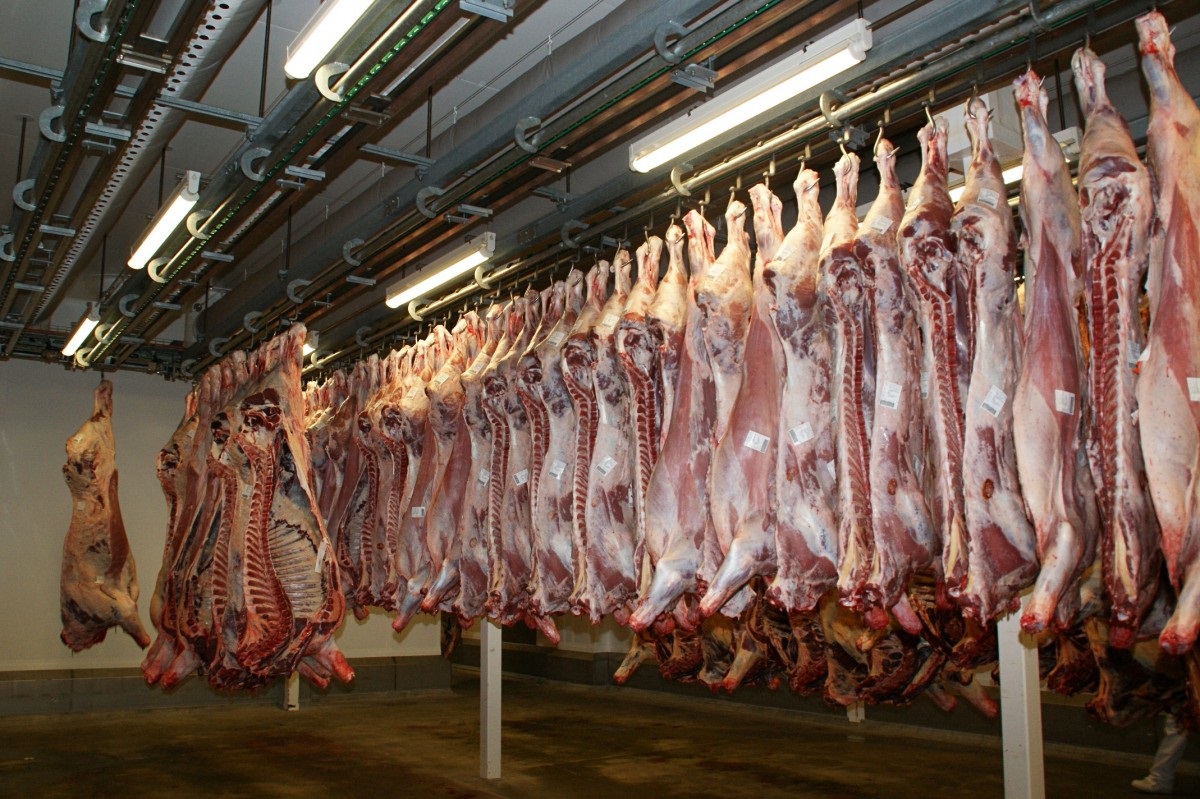 top beef producing states