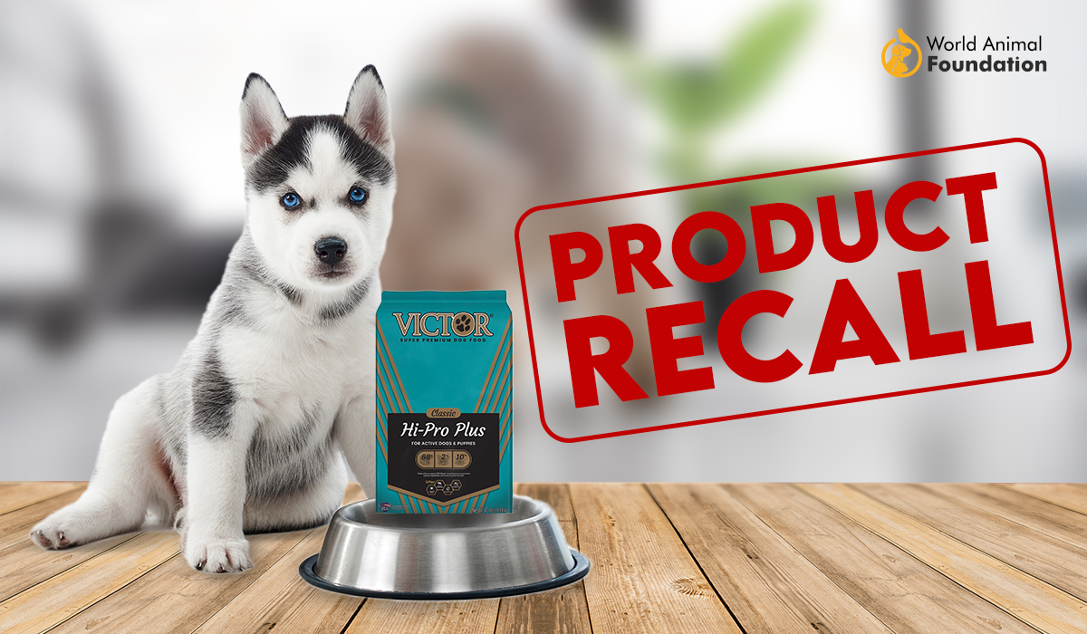 Victor Dog Food