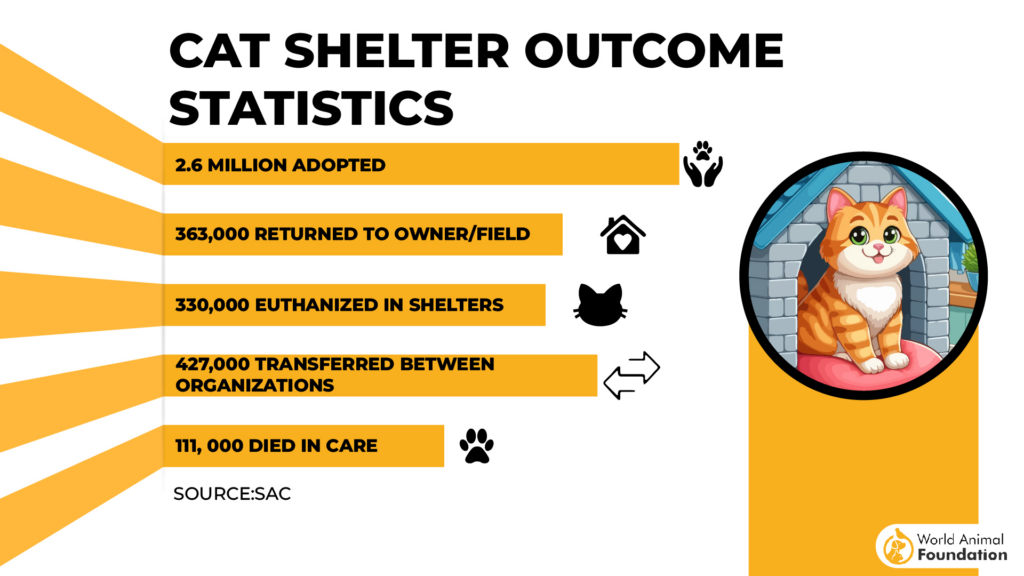 cat shelter statistics