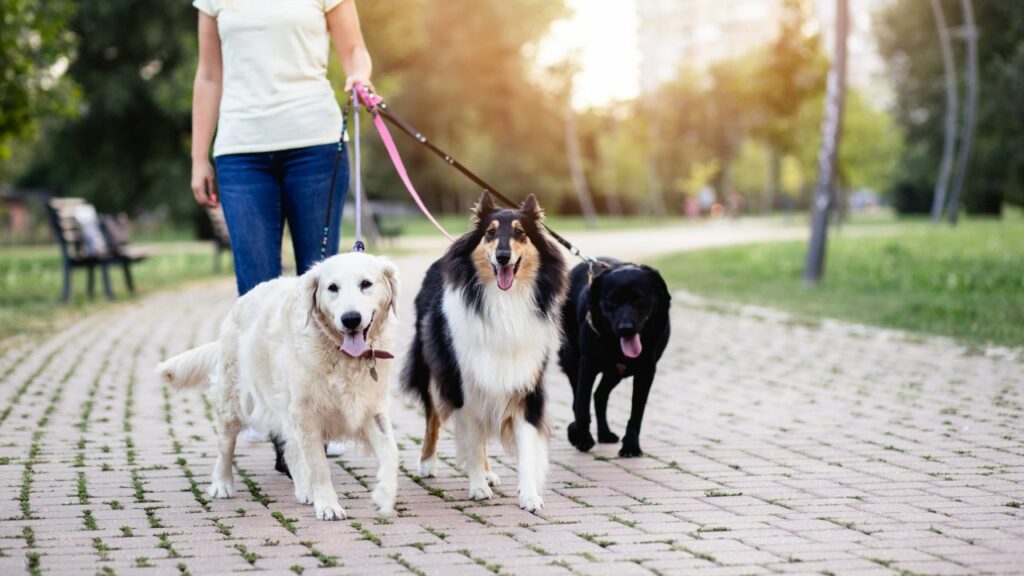 How Many Americans have pets?