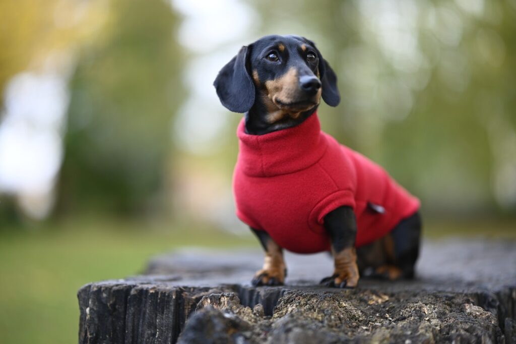 Pet Industry Expenditures Statistics