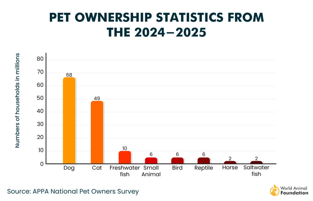 Pet Ownership Statistics